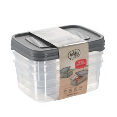 Komplet 3 pravokotnih posod Festiva 1,6 l *6191