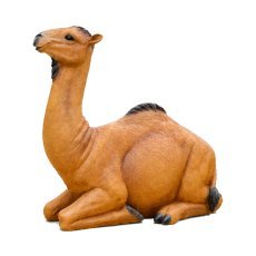 Figura kamele 85 x 25 x 69 cm *4728