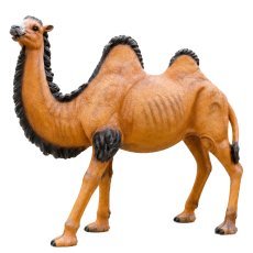 Figura kamele 106 x 30 x 106 cm *4742